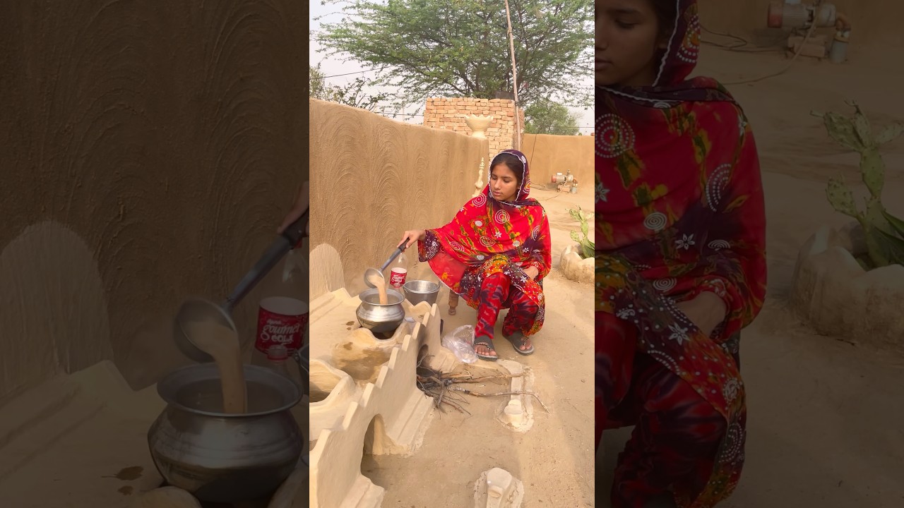 Morning view in village #shortvideo #food #villagerlifestyle #villagelife