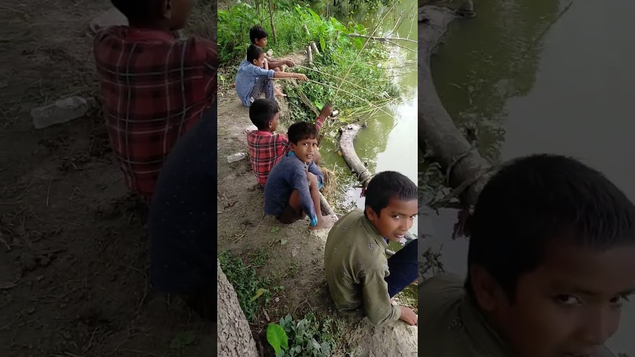 #village छोटे बच्चे कटिया से मछली पकड़ते हुए #machhali #fish #fishvideo machhali kaise pakadate hai