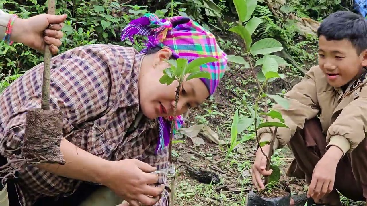 The girl and her children grow fruit trees, living a simple and happy life in the countryside.