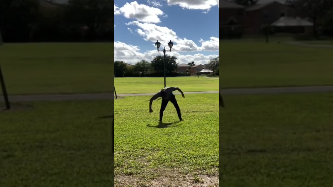 Update on the flips #update #camdidit