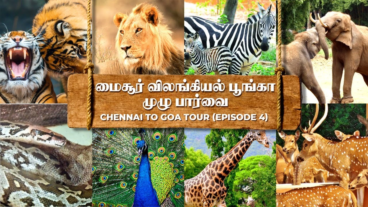மைசூர் விலங்கியல் பூங்கா முழு பார்வை|Chennai To Goa Tour Ep-4|Mysore Sri Chamarajendra Zoo Full view