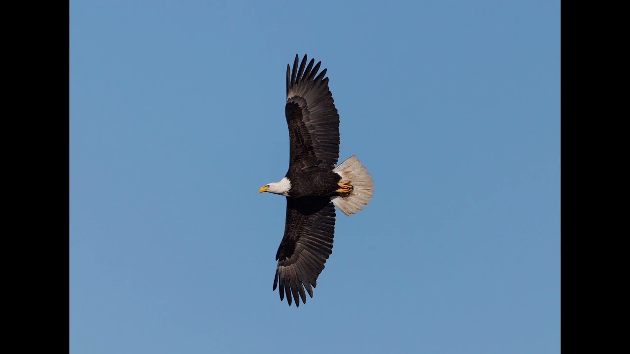 LIKE AN EAGLE 💫CHRISTIAN ROCK 
