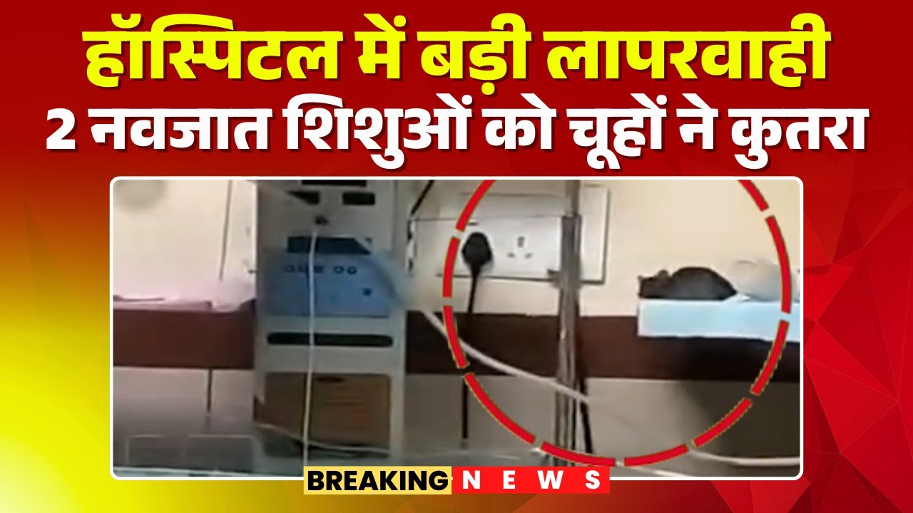Big negligence in Indore's MY Hospital | 2 new born babies were bitten by rats