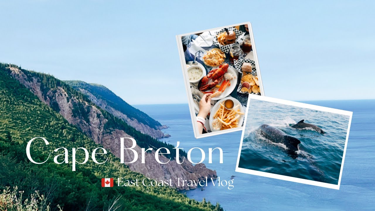 East Coast Road Trip Ep.4 🇨🇦  | Whale and puffin watching in Cape Breton 🐳 | 在布雷顿角看鲸鱼和海鹦 🐳