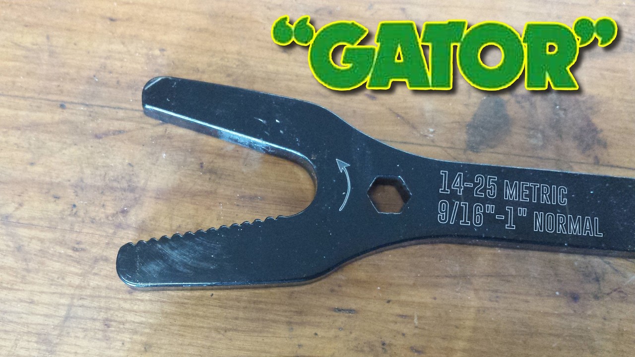 A Modern Alligator 
