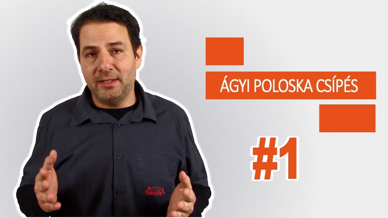 Hogyan ismerhető fel az &aacute;gyi poloska cs&iacute;p&eacute;s?