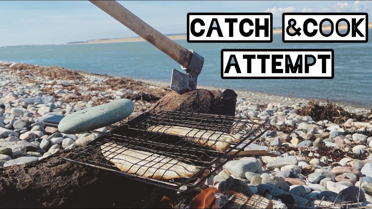 VAN LIFE - CATCH & COOK DINNER ATTEMPT!