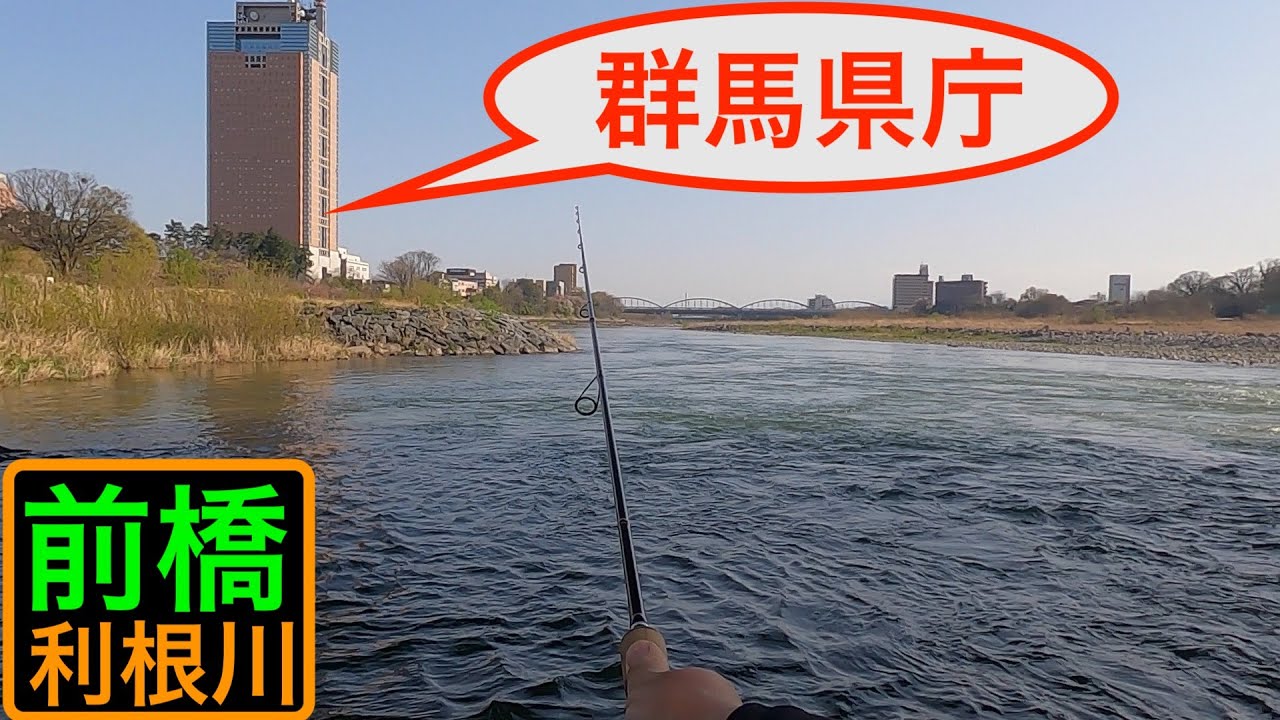群馬県庁隣の川にルアーを投げると‥【春の利根川🌸】Tone River in spring.