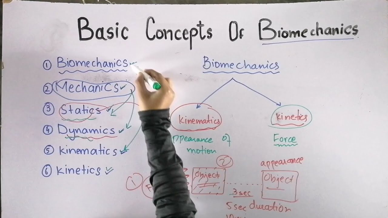 Basic concepts of biomechanics | What are the Branches of biomechanics and mechanics in Urdu\Hindi