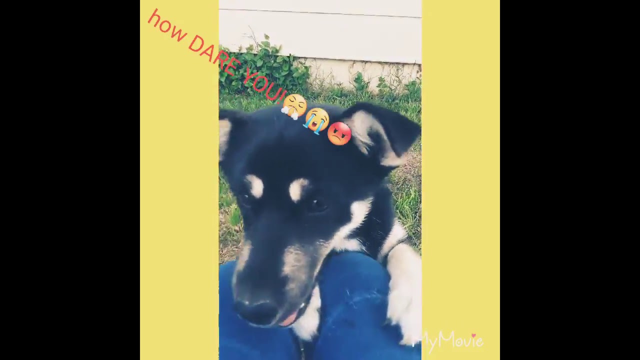 Miss bubbles  first video