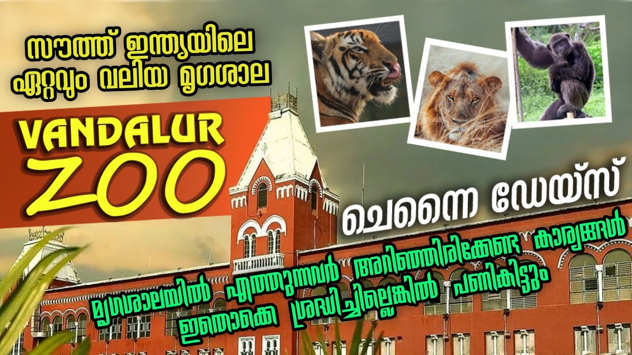 Vandalur Zoo Malayalam | Arignar Zoological Park | How to Travel Chennai | Chennai Tourist Places