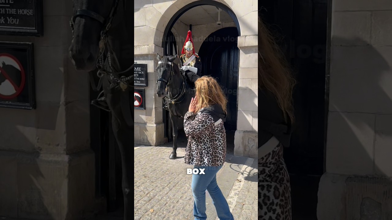 Tourist Ignores the Warning -Guard SHOUTS! #horseguards #tourist #kingsguard
