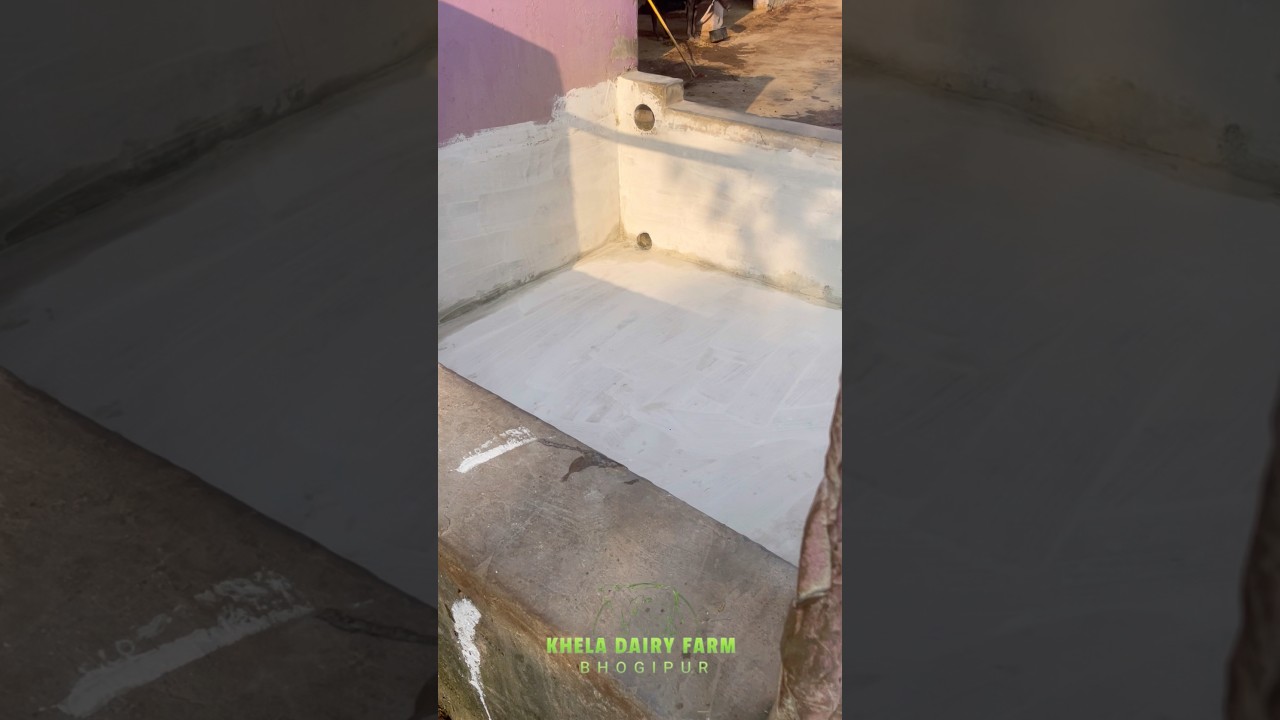 Water system cleaning 
