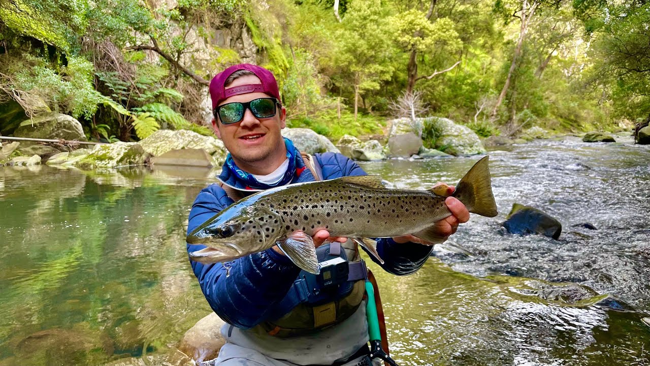 The Best Way to Start the River Season | Fly Fishing for Brown Trout | Victoria, Australia