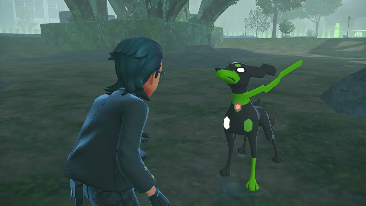 Catching Zygarde (Success)
