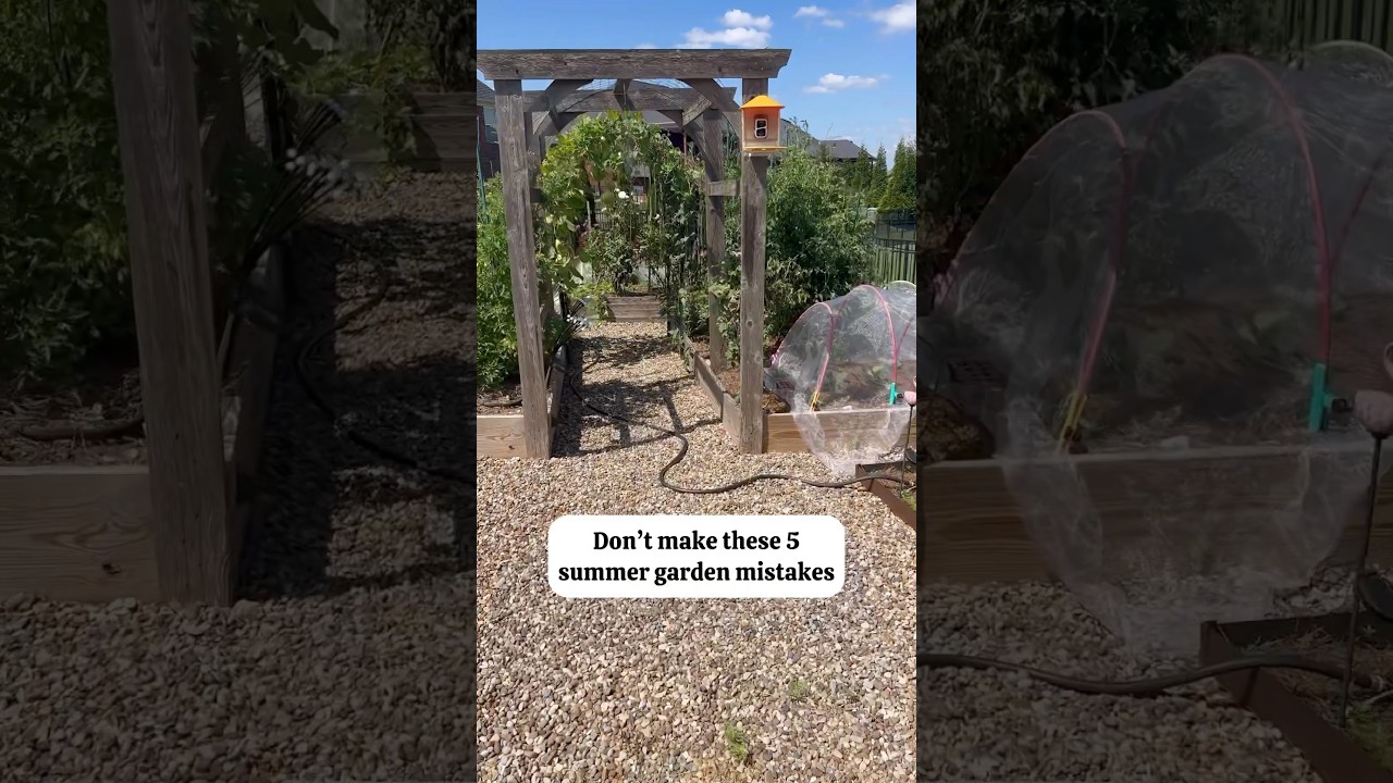 Avoid These Summer Garden Mistakes! #gardeningtips
