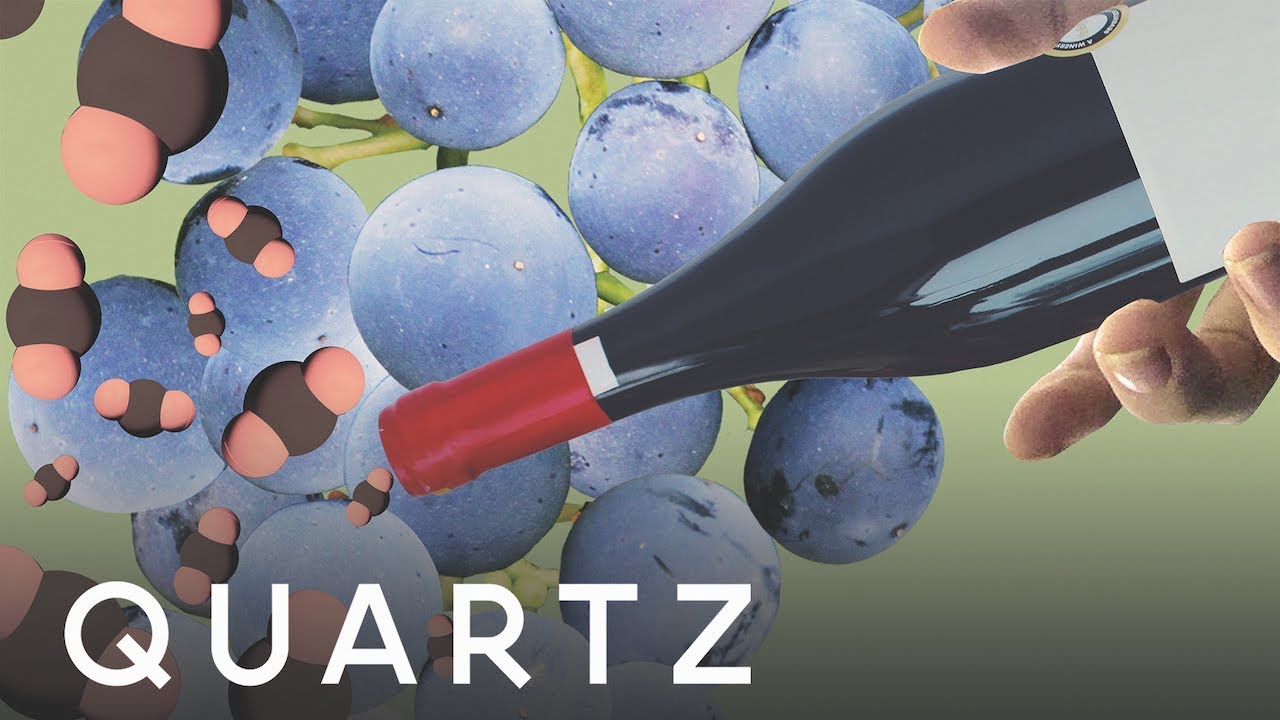 These scientists are simulating climate change to save wine