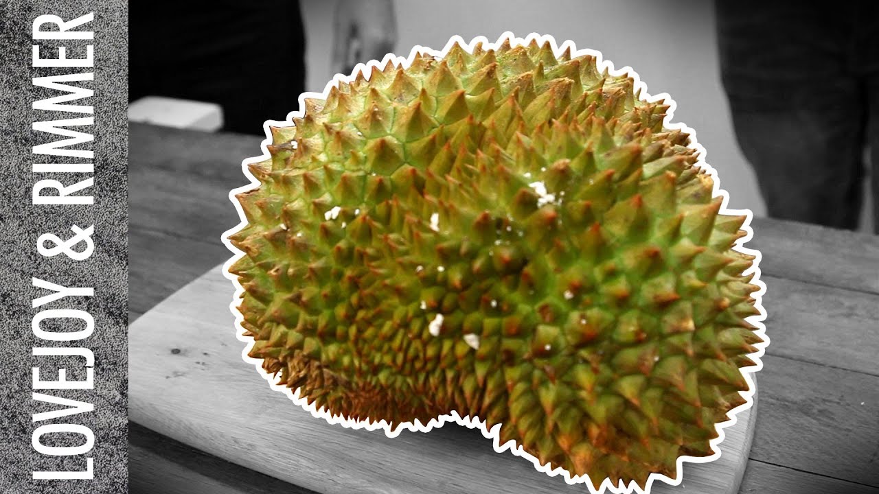 Lovejoy & Rimmer Taste THE WORLD'S SMELLIEST FRUIT!