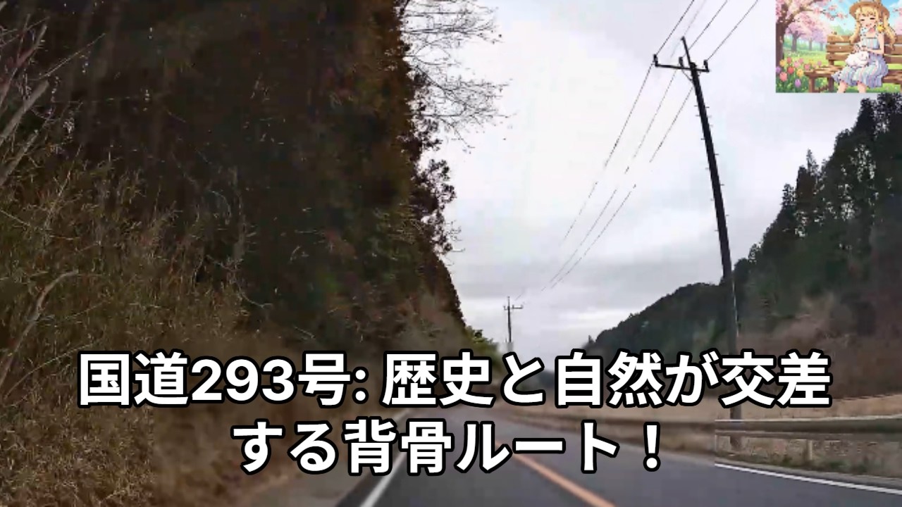 気ままにドライブ！国道293号