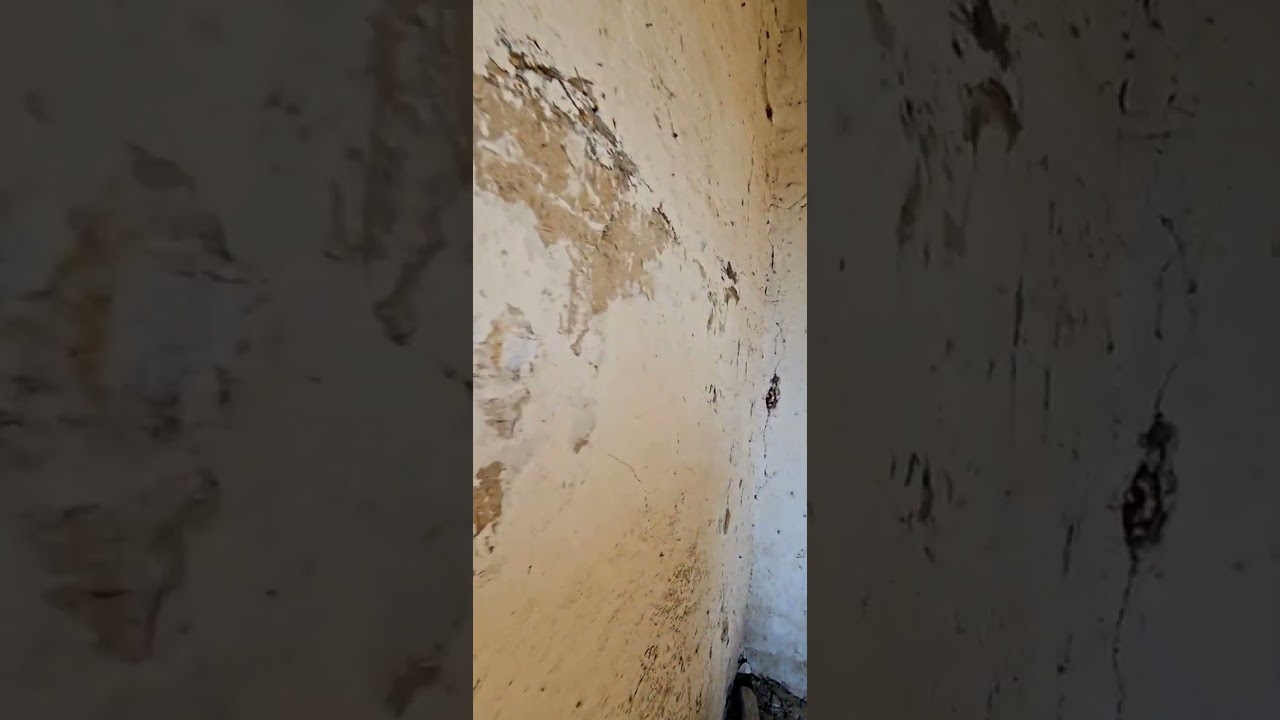 Şəki Şəhər Qoxmuq Kənd Tam Orta Məktəbi (köhnə)