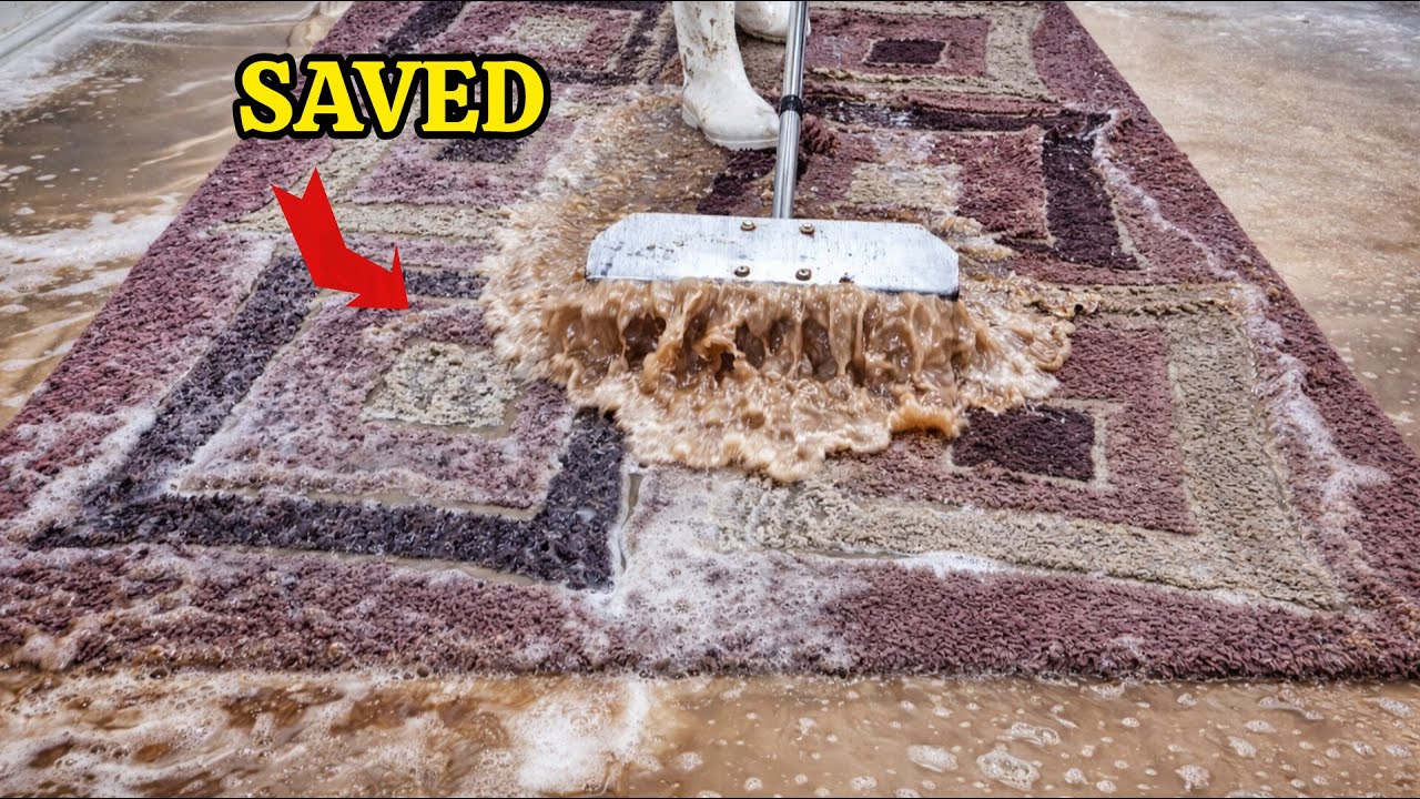 This Rug Was Saved From the Trash