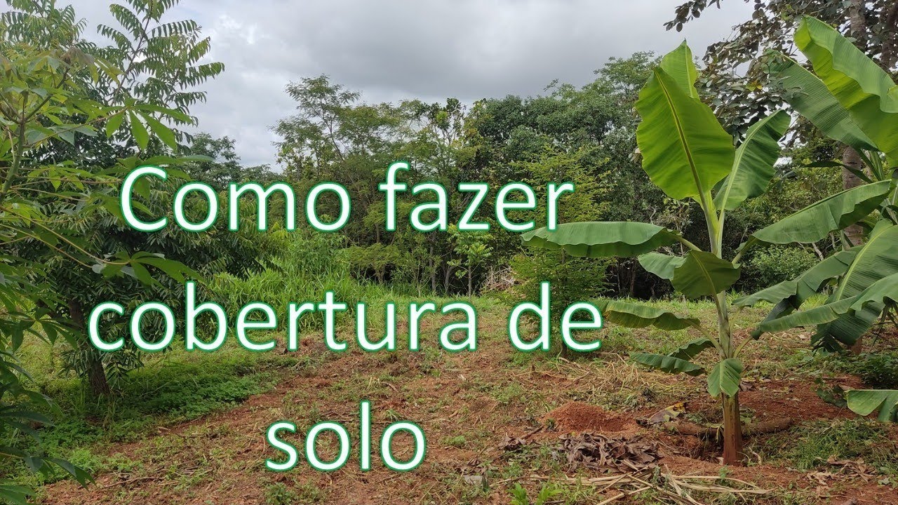 Como fazer cobertura de solo + como deixar a terra fértil.