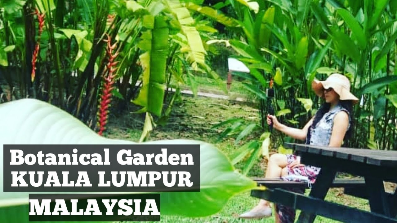 TAMAN BOTANI PERDANA//KUALA LUMPUR BOTANICAL GARDEN//LAKE GARDEN