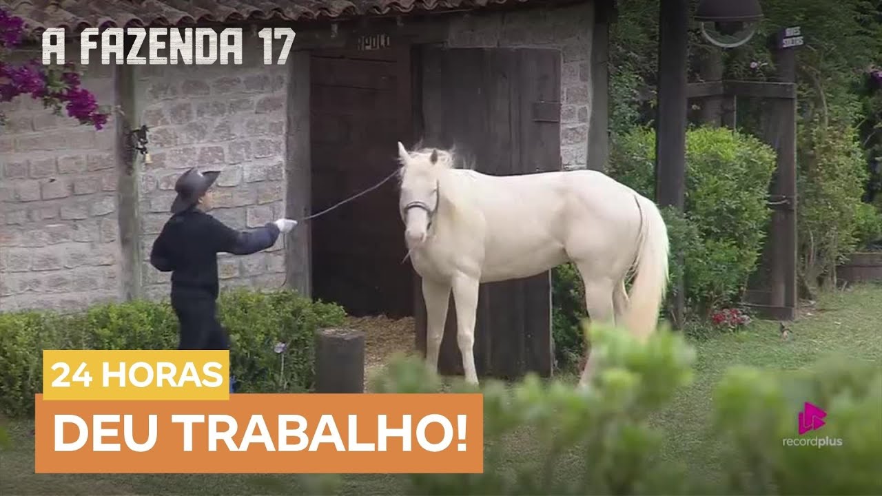 Dudu se atrapalha ao levar Apolo de volta à Baia | A Fazenda 17