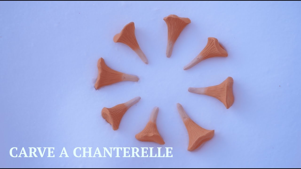 Carve a Chanterelle | Sloyd and Mushrooms