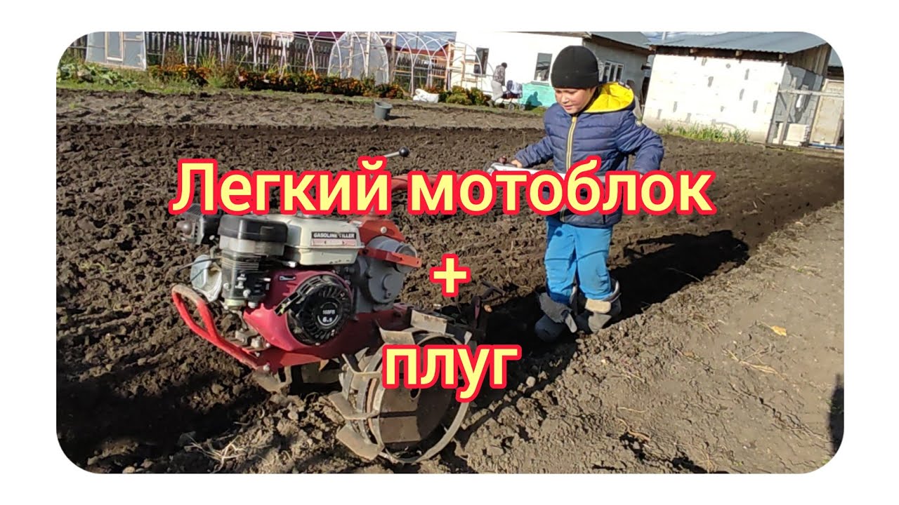мотоблок в деле пашем плугом .#мотоблок #сад #огород