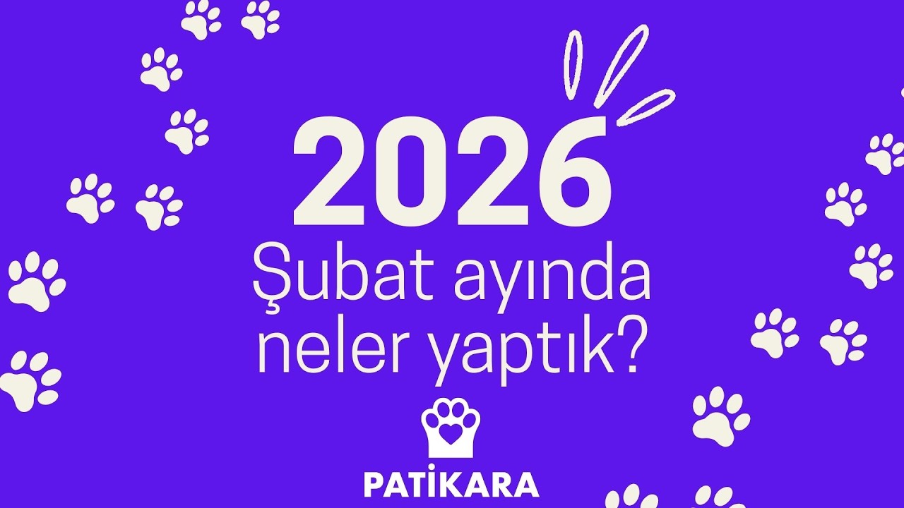 Patikara 2026 Şubat Ayı Kurtarmaları / Patikara Yaşatır! Dayanışma Yaşatır!