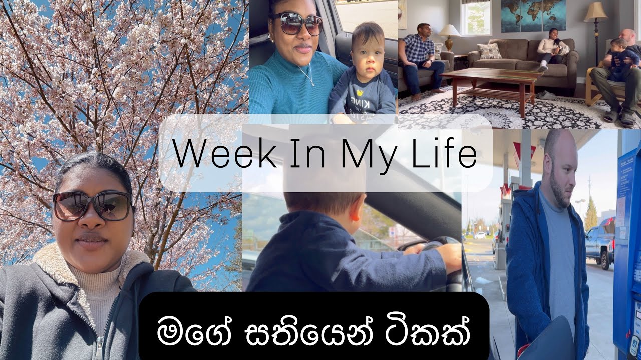 Little bit from my week| මගේ සතියෙන් ටිකක්| road trip| shopping| weather එක හොද වේගන එන්නේ| සිංහල