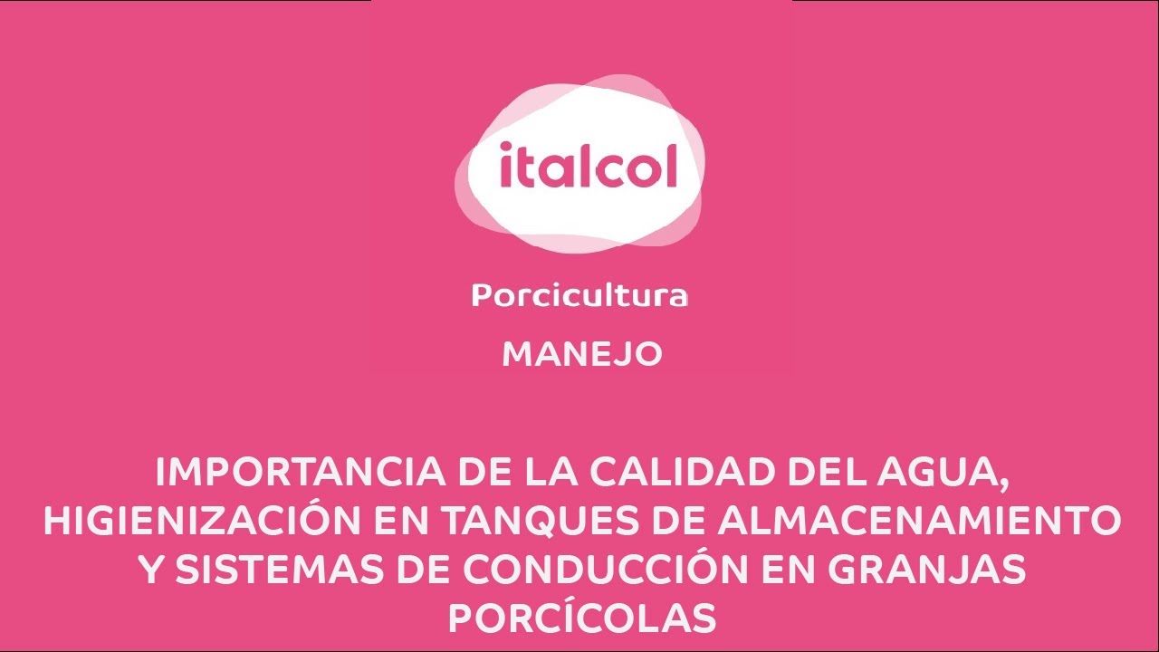 MANEJO - Importancia de la calidad del agua, higienización de tanques en las granjas porcícolas