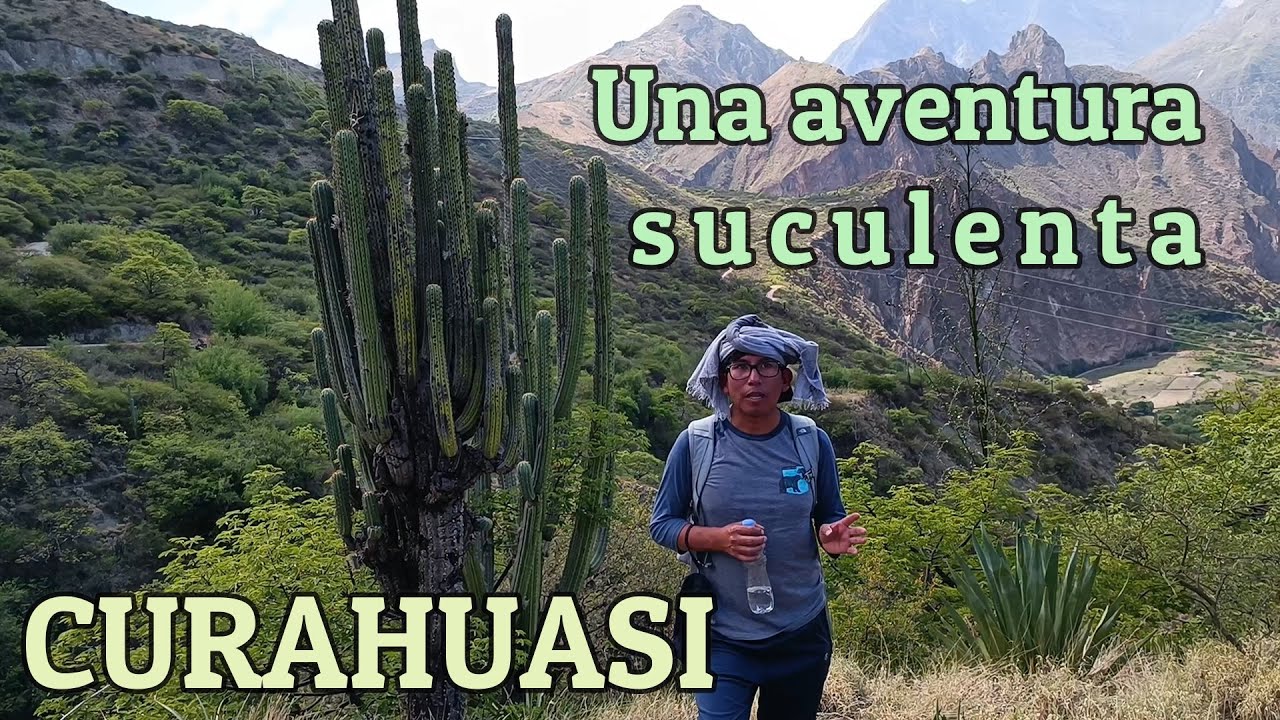 Vamos a casa jardineros 