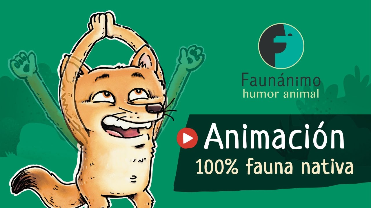 La fauna chilena más animada que nunca - Video clip Faunánimo