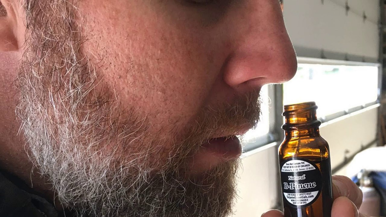 Terpenes: More than Meets the Nose