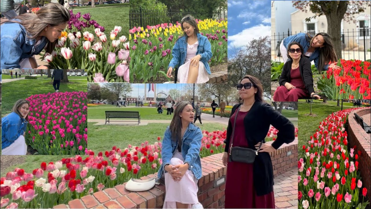 #tuliptime Pangpar duh zual tan en ngei2 chi! Pathian  thilsiam hi ava mawi teh reng em! #mizovlog