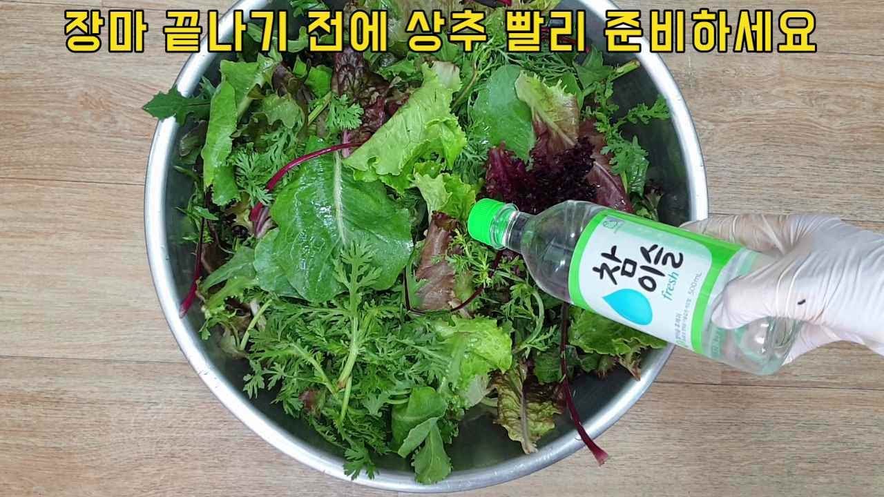 상추값이 금값 되기전에 빨리 부어 보세요 상추요리 3가지 💖