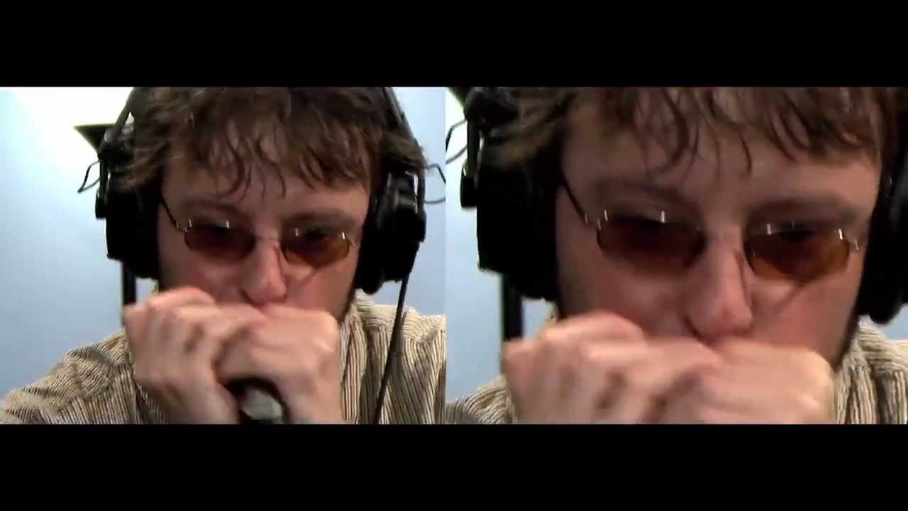 Maybe I'm Wrong (John Popper) By The Wassail Blues Band