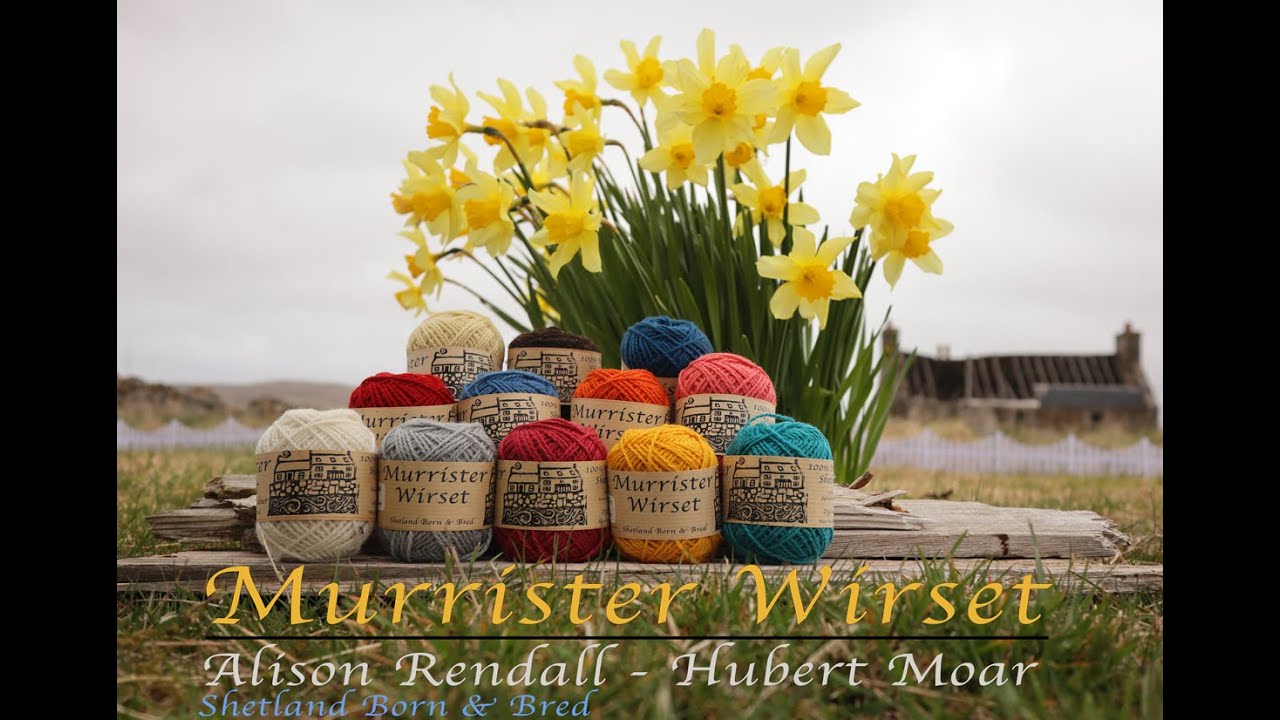 Shetland Knitter Alison Rendall introduces Murrister Wool