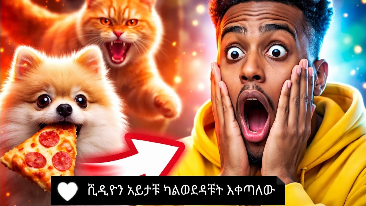 አመኑኝ ትወዱታላቹ
