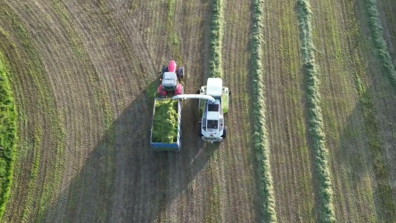Silage June '25, Tullynavin. DJI Mini 3 Pro