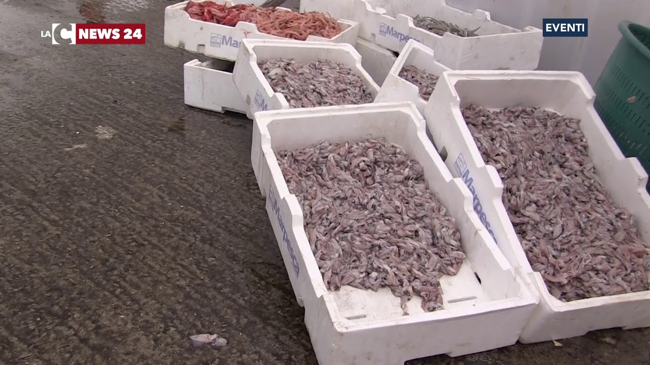 La sagra del pesce a Vibo Marina