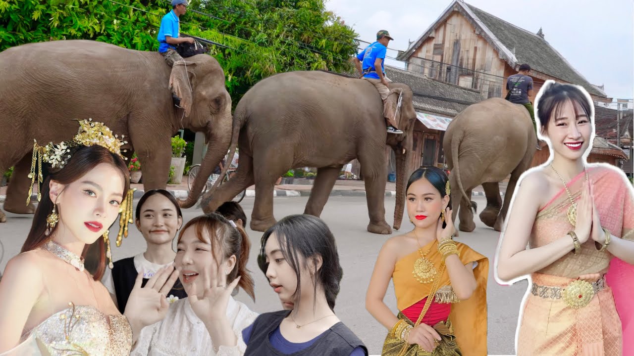 Sang LÀO Ăn Tết Gặp Gái Xinh Rước Voi - Lượng Tây Bắc