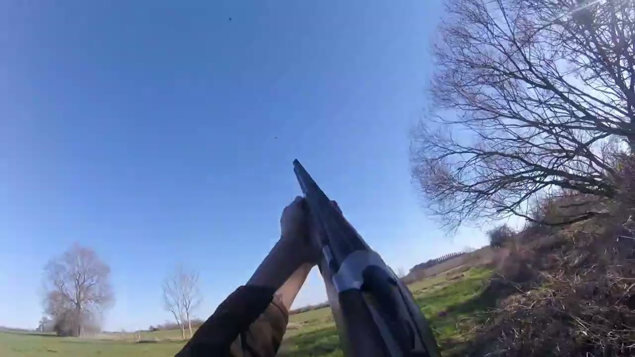 pest control with the shotgun