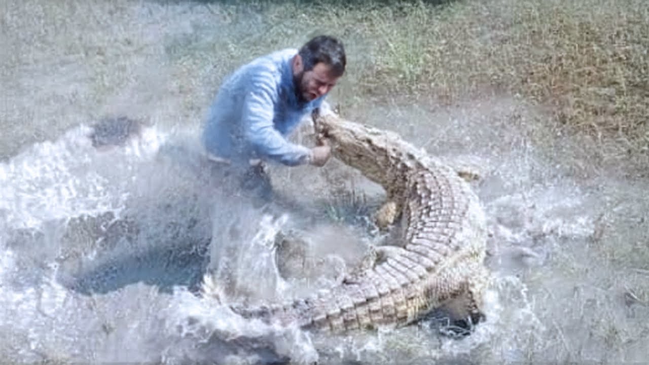 Crocodile Attacks That Should Never Have Happened