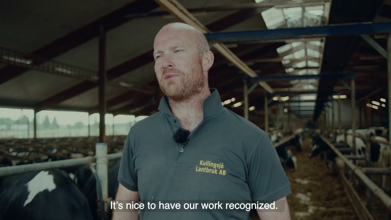 From Grandfather’s Farm to the Future of Dairy – Life with 300 Cows in Sweden