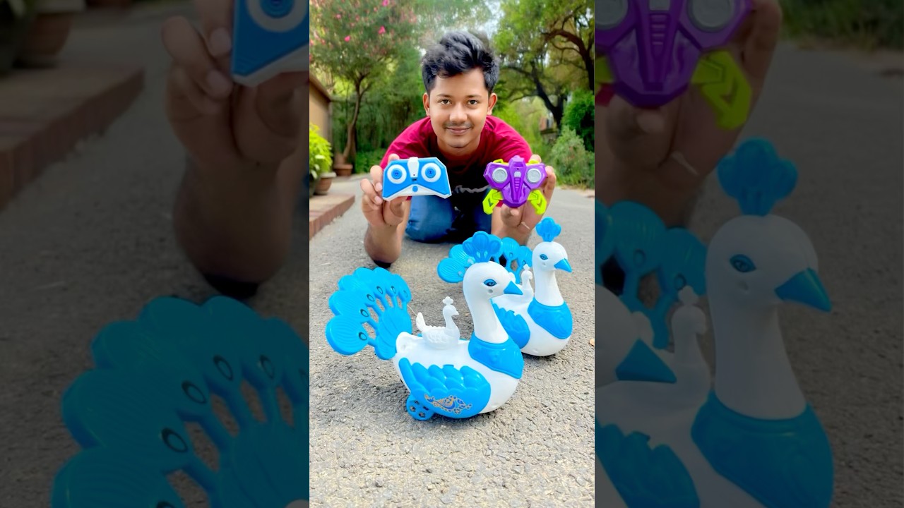 Duita RC Peacock 🦚 unboxing🥰