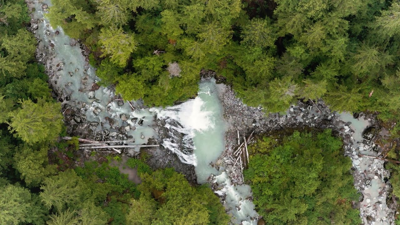 Conifer Drift | Cascading River in a Mossy Forest