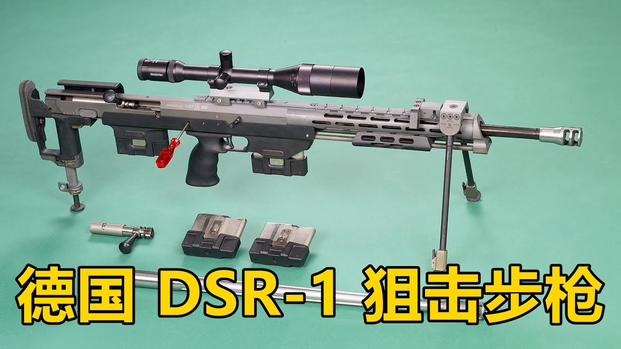 拴动+无托+狙击！= 巨坑！德国DSR-1警用型高精度狙击步枪